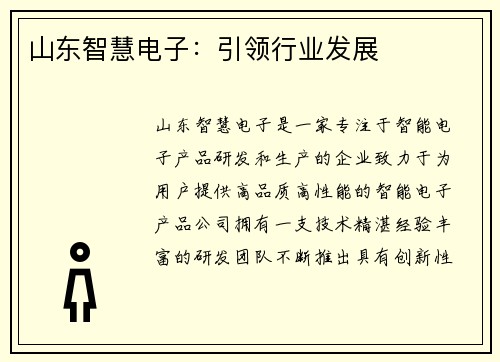 山东智慧电子：引领行业发展