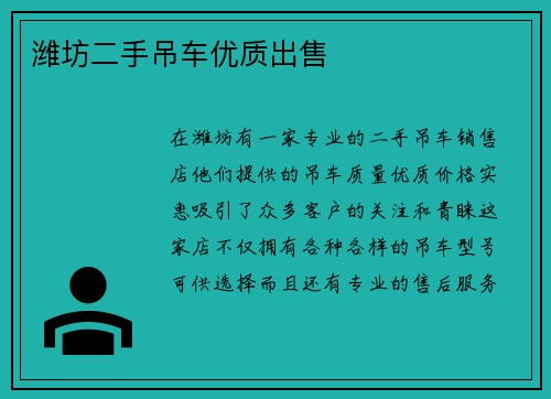 潍坊二手吊车优质出售